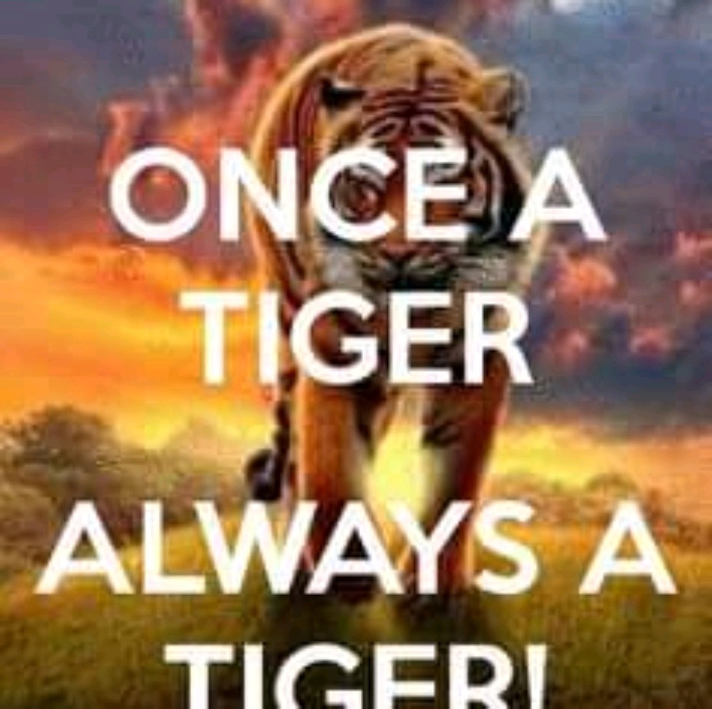 Meet your Posher, Charlotte